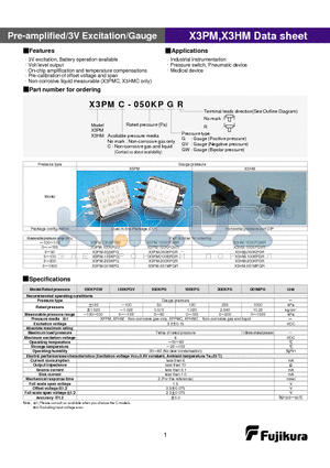 X3HM-100KPGVR datasheet - Pre-amplified/3V Excitation/Gauge