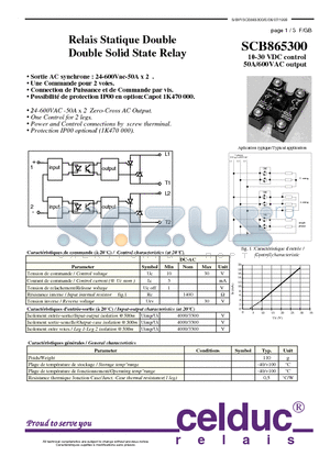 SCB865300 datasheet - Double Solid State Relay