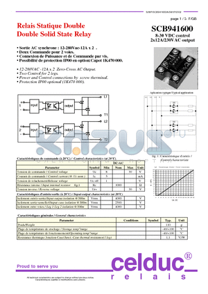 SCB941600 datasheet - Double Solid State Relay