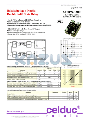 SCB945300 datasheet - Double Solid State Relay