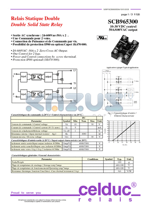 SCB965300 datasheet - Double Solid State Relay