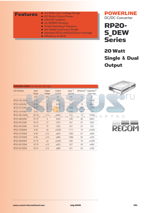 RP20-2405DEW datasheet - 20 Watt Single & Dual Output