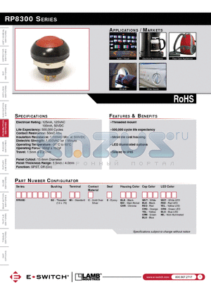 RP8300 datasheet - RP8300 SERIES