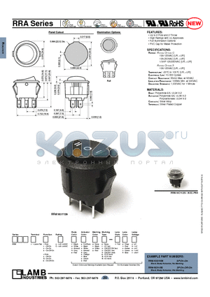 RRA1631100 datasheet - RRA Series