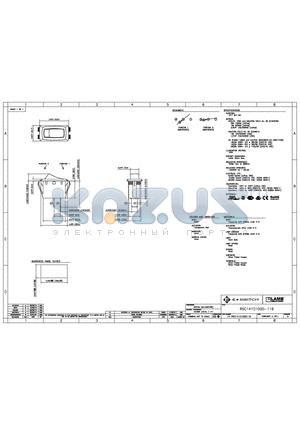 RSC141D1000-116 datasheet - E-SWITCH RSC141D1000-116