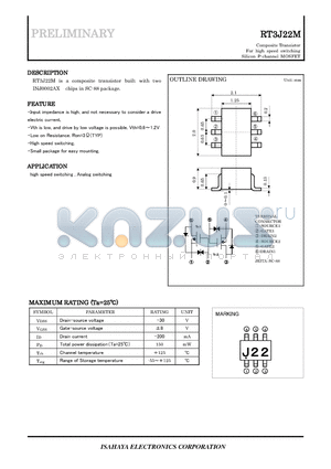 RT3J22M datasheet - Composite Transistor