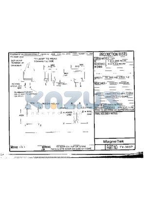 TY-303P datasheet - TY-303P