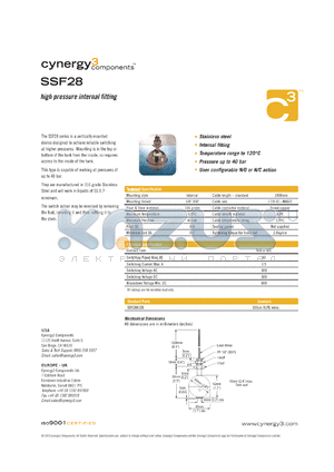 SSF28X100 datasheet - high pressure internal fitting