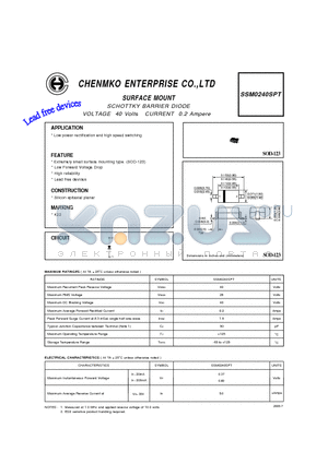 SSM0240SPT datasheet - SCHOTTKY BARRIER DIODE