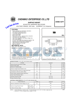 SSM310PT datasheet - SCHOTTKY BARRIER RECTIFIER