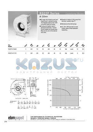 RG22P-4/121191 datasheet - CENTRIFUGAL BLOWER