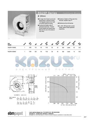 RG25P-4/106482 datasheet - CENTRIFUGAL BLOWER