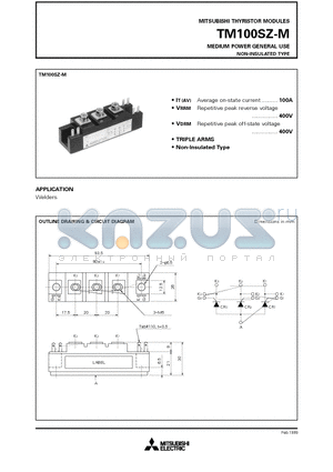 TM100 datasheet - MEDIUM POWER GENERAL USE NON-INSULATED TYPE