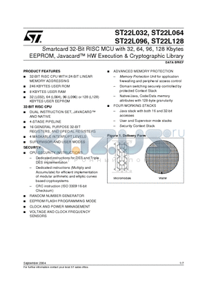 ST22L128 datasheet - Smartcard 32-Bit RISC MCU with 32, 64, 96, 128 Kbytes EEPROM, Javacard HW Execution & Cryptographic Library