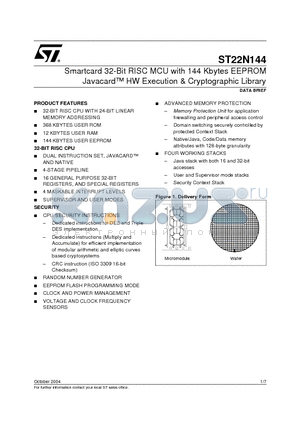 ST22N144 datasheet - Smartcard 32-Bit RISC MCU with 144 Kbytes EEPROM Javacard HW Execution & Cryptographic Library