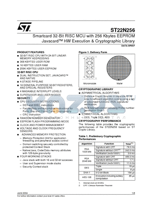 ST22N256 datasheet - Smartcard 32-Bit RISC MCU with 256 Kbytes EEPROM Javacard HW Execution & Cryptographic Library