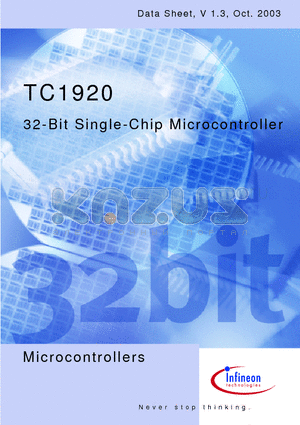 TC1920 datasheet - 32-Bit Single-Chip Microcontroller