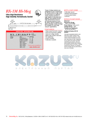 RX-M1006JE datasheet - Ultra High Resistance High Stability Hermetically Sealed