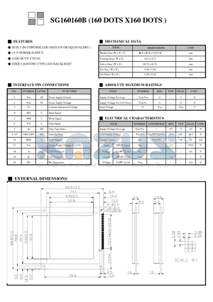 SG160160B datasheet - 160 DOTS X160 DOTS