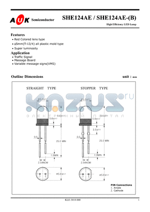 SHE124AE datasheet - High Efficiency LED Lamp