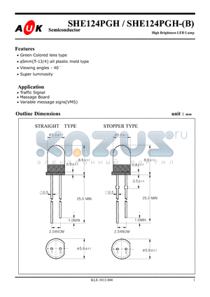 SHE124PGH-B datasheet - High Brightness LED Lamp