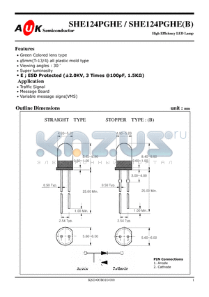 SHE124PGHE datasheet - High Efficiency LED Lamp