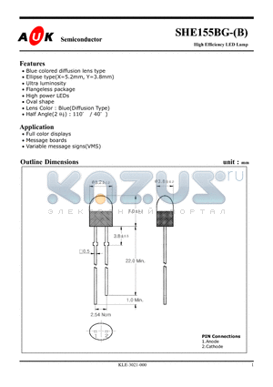 SHE155BG-B datasheet - High Efficiency LED Lamp