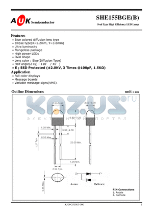 SHE155BGE datasheet - Oval Type High Efficiency LED Lamp