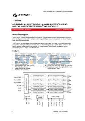 TCD6000 datasheet - 6 CHANNEL CLASS-T DIGITAL AUDIO PROCESSOR USING DIGITAL POWER PROCESSINGTM TECHNOLOGY