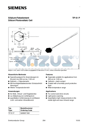 TP61P datasheet - Silizium-Fotoelement Silicon Photovoltaic Cell