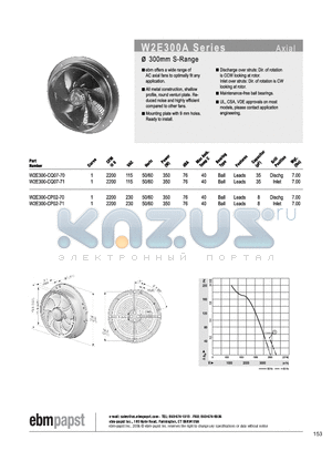 W2E300-CQ07-71 datasheet - AXIAL