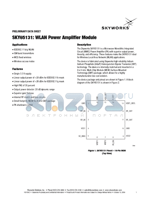 SKY65131 datasheet - WLAN Power Amplifier Module