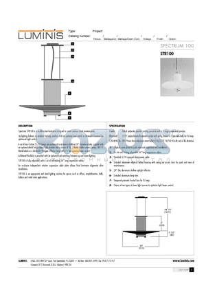 STR100 datasheet - SPECTRUM 100