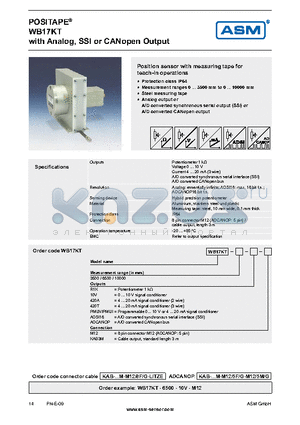 WB17KT-10000-10V-KAB3M datasheet - Analog, SSI or CANopen Output