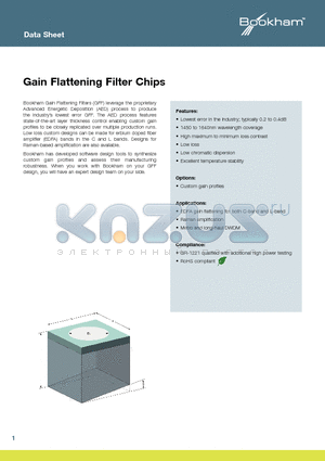 TFGFF0000000 datasheet - Gain Flattening Filter Chips