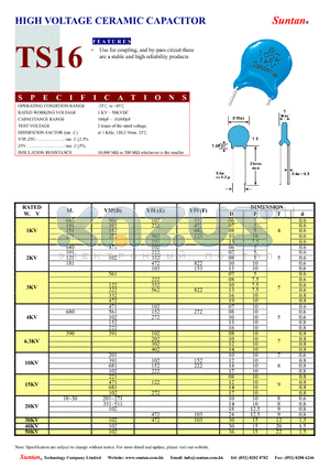 TS16 datasheet - HIGH VOLTAGE CERAMIC CAPACITOR