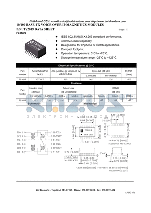 TS2019 datasheet - 10/100 BASE-TX VOICE OVER IP MAGNETICS MODULES