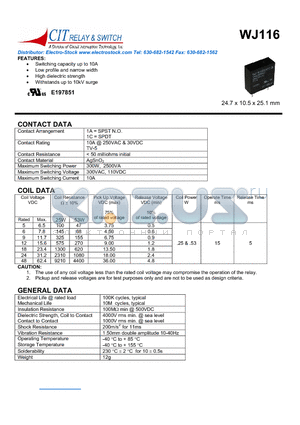 WJ115F31AS6VDC datasheet - CIT SWITCH