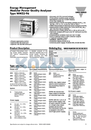 WM23-96AV43A2S1 datasheet - Energy Management Modular Power Quality Analyzer