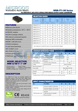 WRB-YT-1W datasheet - 1W,WIDE INPUT, ISOLATED & REGULATEDSINGLEOUTPUT DC/DCCONVERTER