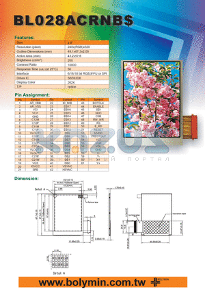 BL028ACRNB datasheet - Resolution Outine Dimensions