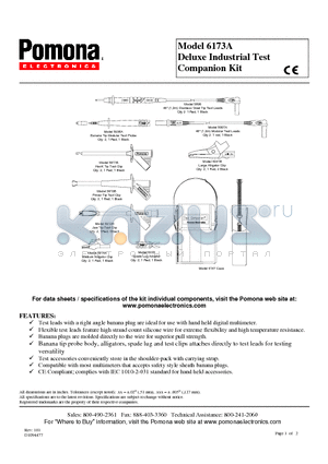 6173A datasheet - Deluxe Industrial Test Companion Kit