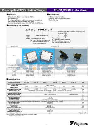 X3HM-100KPGWR datasheet - Pre-amplified/3V Excitation/Gauge