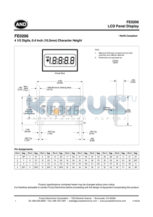 FE0206 datasheet - LCD Panel Display