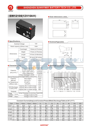 SW12100_1 datasheet - General Battery