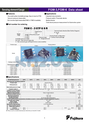 FGMC-307PGSR datasheet - Sensing element/Gauge