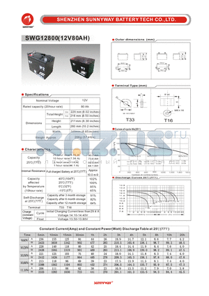 SWG12800 datasheet - GEL Battery