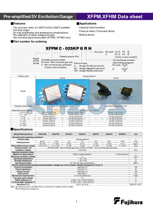 XFHM-100KPGR datasheet - Pre-amplified/5V Excitation/Gauge