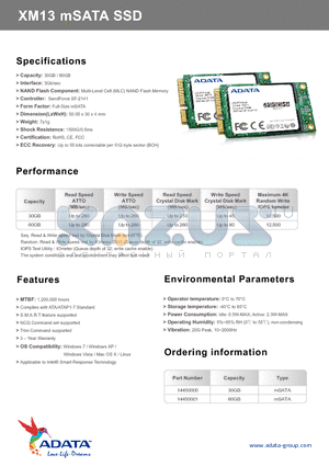 XM13 datasheet - XM13 mSATA SSD