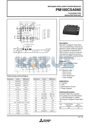 PM100CSJ060 datasheet - FLAT-BASE TYPE INSULATED PACKAGE